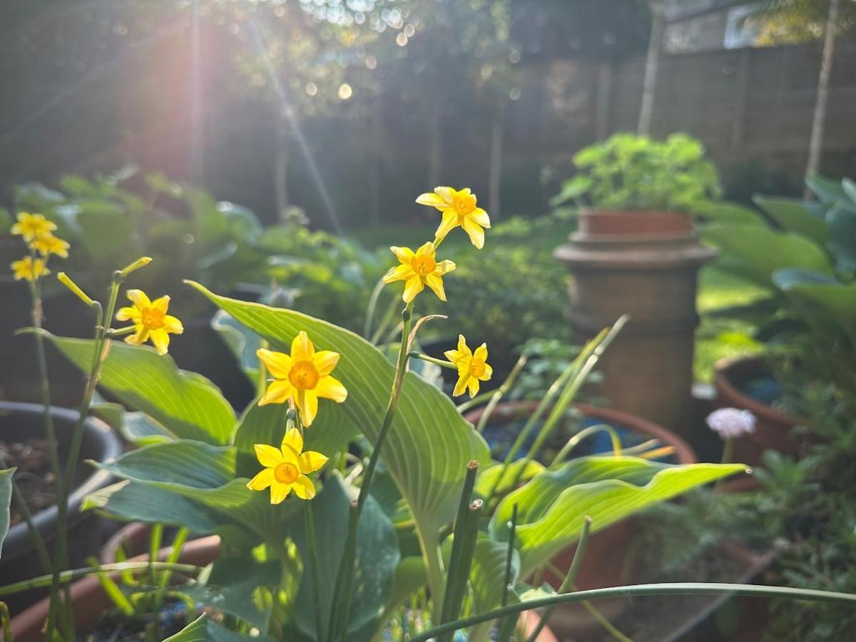 Apartment Large 1 Bd Period Garden Flat, Kings Cross - Camden